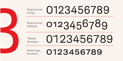 Berna Font Poster 12