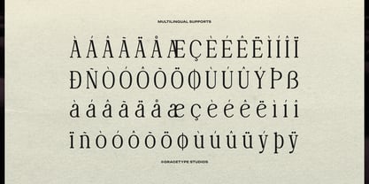 Deiloya Font Poster 11
