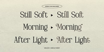Deiloya Font Poster 5