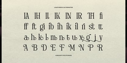 Deiloya Font Poster 12