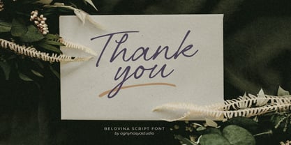 Belovina Font Poster 14