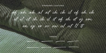 Belovina Font Poster 13