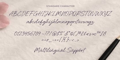 Belovina Font Poster 7