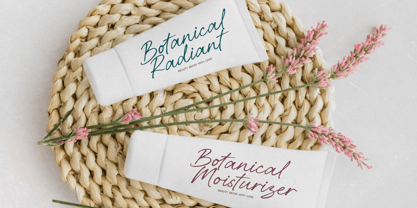 Belovina Font Poster 11