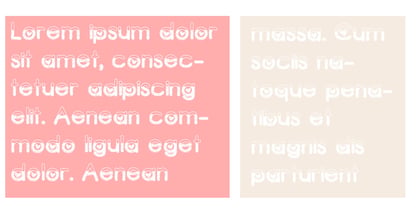 ZP Devoted Scribble Font Poster 4