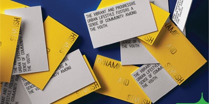 Fujika Sans Font Poster 10