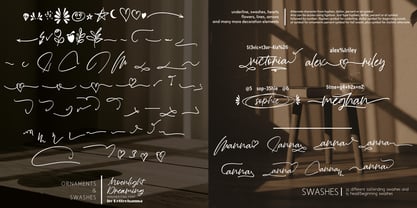 Moonlight Dreaming Font Poster 2