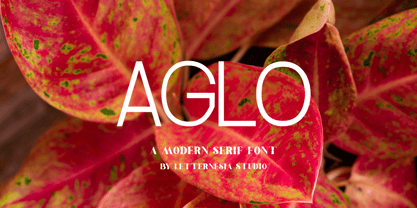 Aglo Font Poster 1