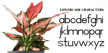 Aglo Font Poster 3