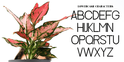 Aglo Font Poster 2