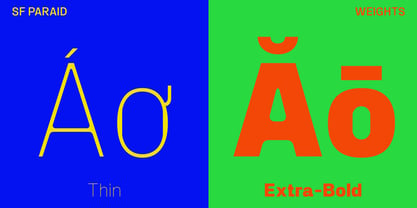 SF Paraid sans Font Poster 3