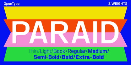 SF Paraid sans Font Poster 1