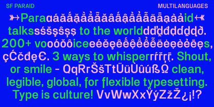 SF Paraid sans Font Poster 5