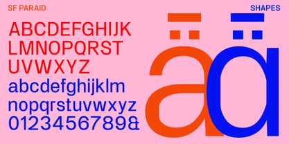 SF Paraid sans Font Poster 11