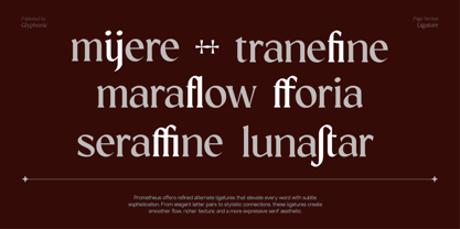 GC Protheson Font Poster 5