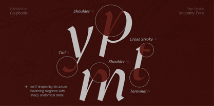GC Protheson Font Poster 4