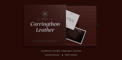 GC Protheson Font Poster 11