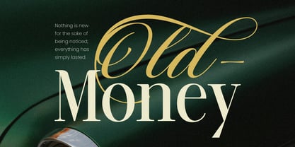 Venota Blathic Font Poster 9