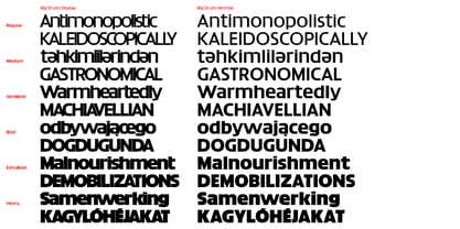Big Druto Variable Font Poster 9