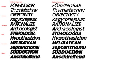 Big Druto Variable Font Poster 10