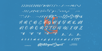 Seafood Gather Font Poster 14