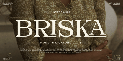 Briska Font Poster 1