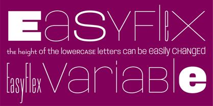 Easy Flex Font Poster 1