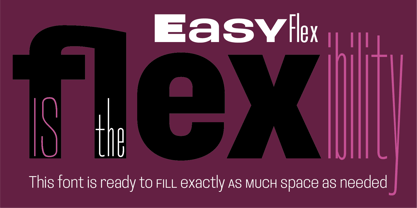 Easy Flex Font Poster 3