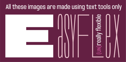 Easy Flex Font Poster 5