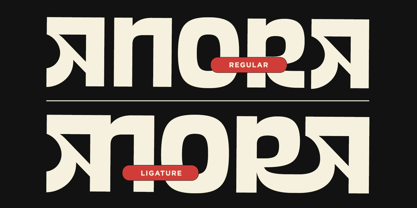 Vexora Font Poster 4