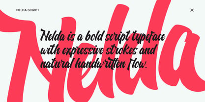 Nelda Script Font Poster 11