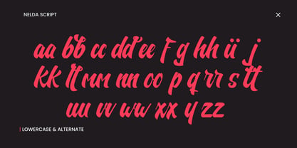 Nelda Script Font Poster 9