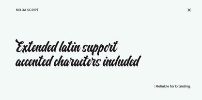 Nelda Script Font Poster 12