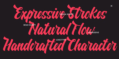 Nelda Script Font Poster 4