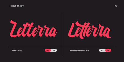 Nelda Script Font Poster 3