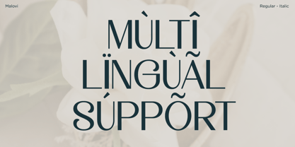 Malovi Font Poster 12