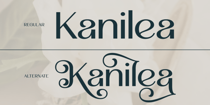 Malovi Font Poster 11