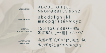 Malovi Font Poster 9