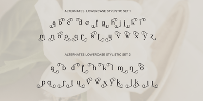 Malovi Font Poster 10