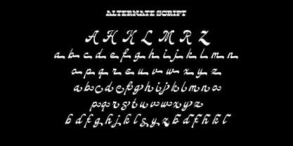 Nackresa Font Poster 11