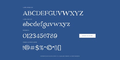 SCC Sygny Font Poster 3
