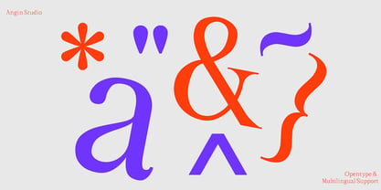 Serafin Static Font Poster 11