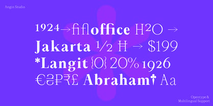 Serafin Static Font Poster 10