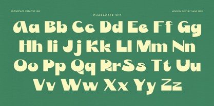 Orkid Font Poster 10