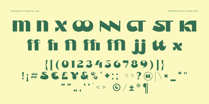 Orkid Font Poster 9