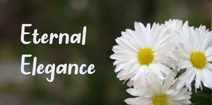 Nathot Font Poster 7