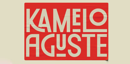 Pronell Display Font Poster 6