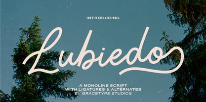 Lubiedo Font Poster 1