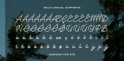 Lubiedo Font Poster 11
