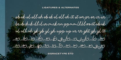 Lubiedo Font Poster 12
